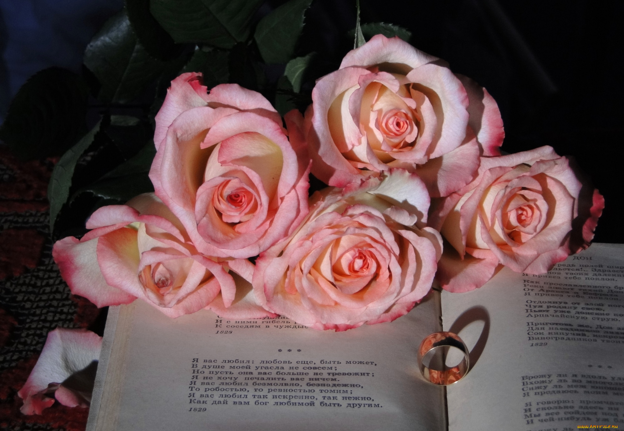 Стихи про розовые. Пушкин цветок про розу. Стих про розовый цвет.